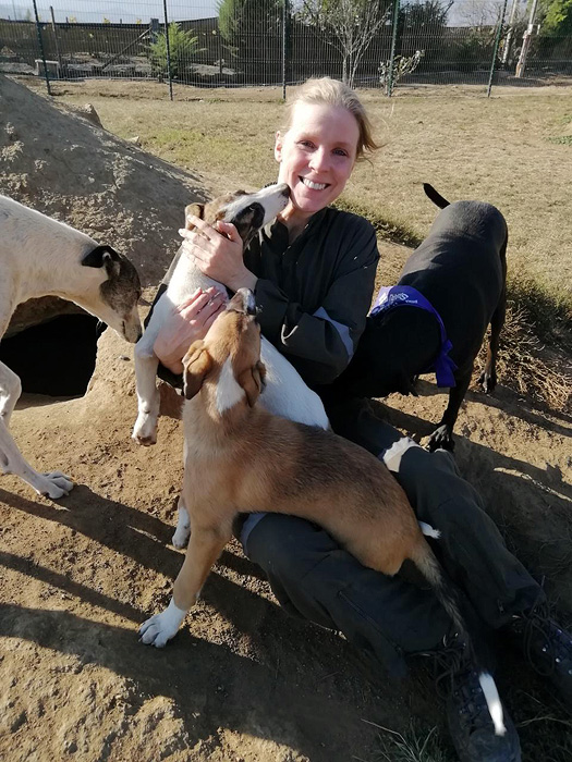 Volunteer work in Dog Shelter Chile Inside