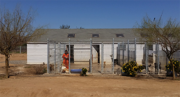 Hundeheim Freiwilligenarbeit Chile Inside