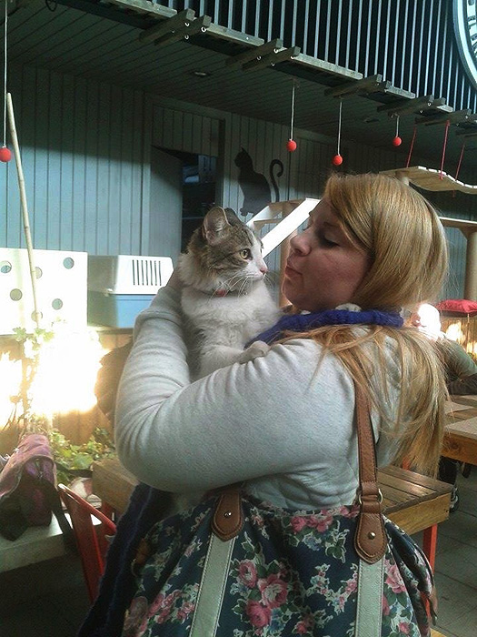 Volunteer saving street cats Chile Inside