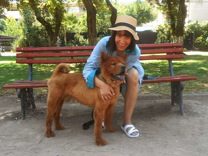 Volunteer work with street dogs Chile Inside